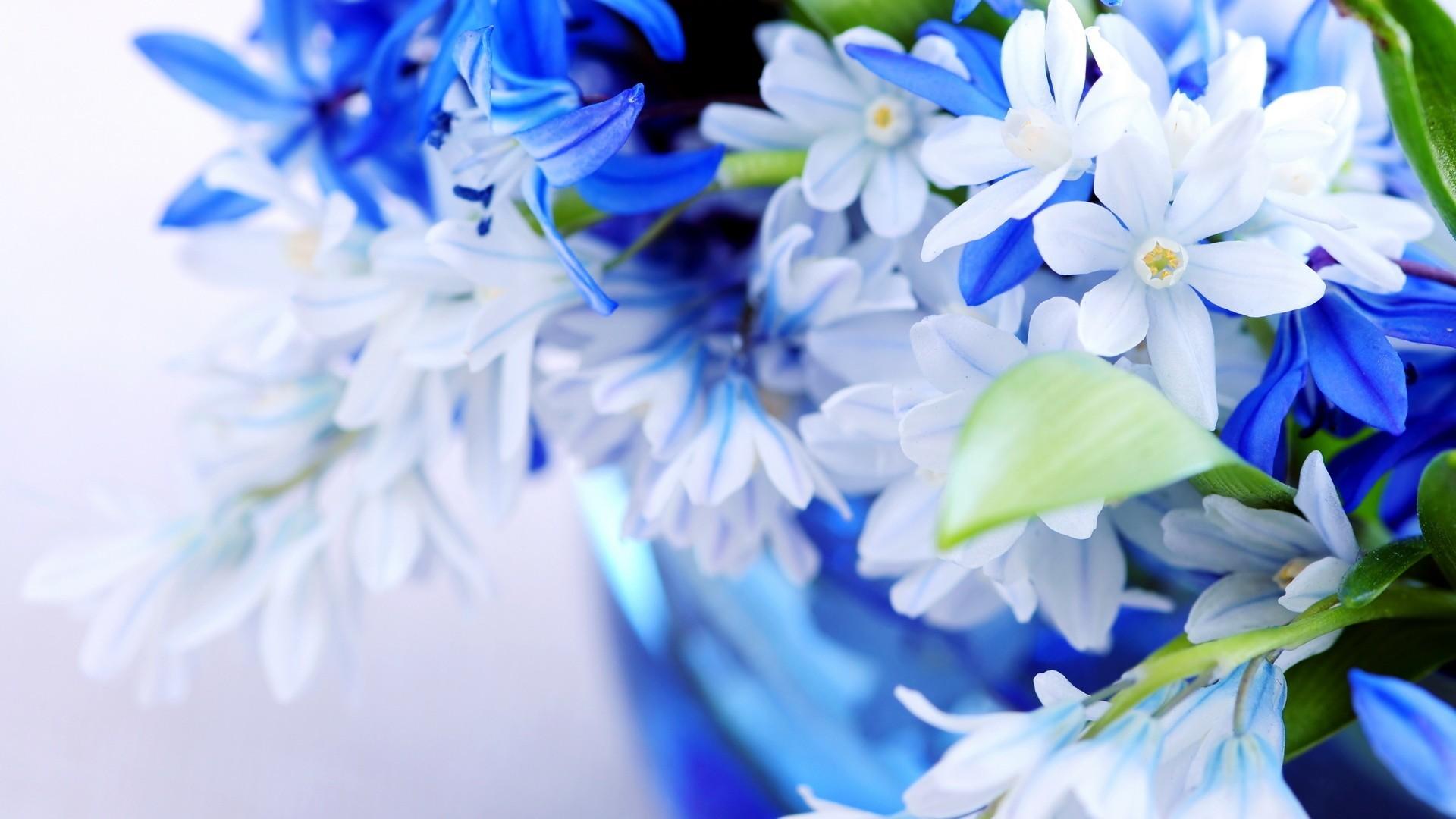 Marvelous blue flowers wallpaper. PC
