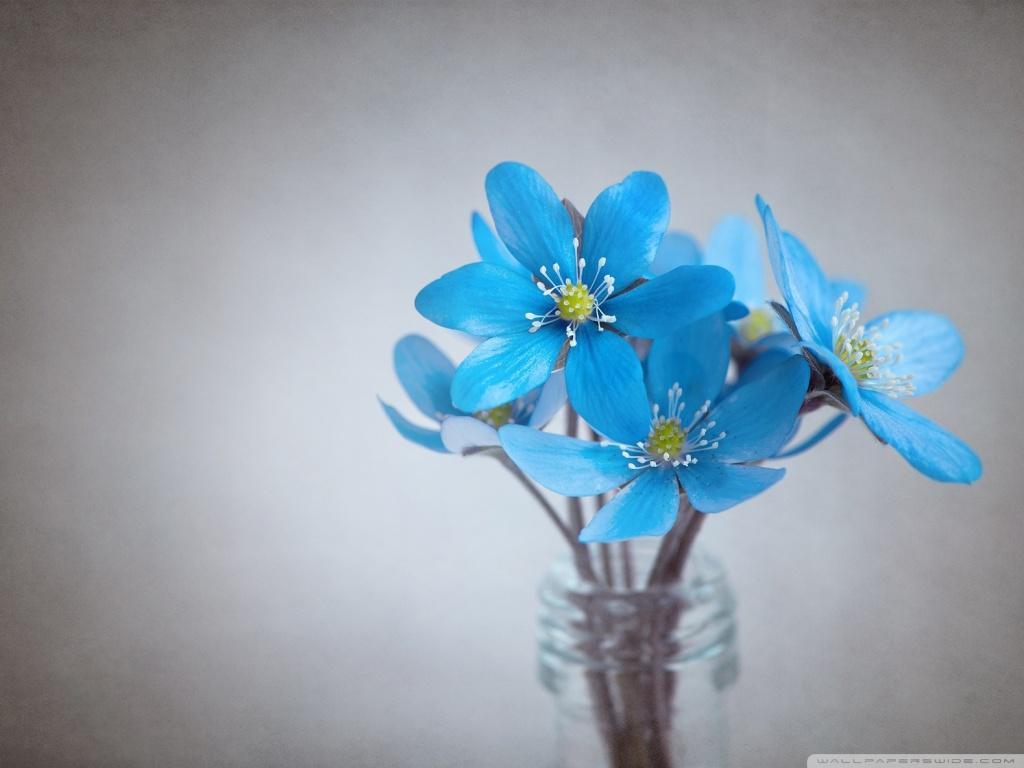 Blue Flower Wallpaper. (43++ Wallpaper)