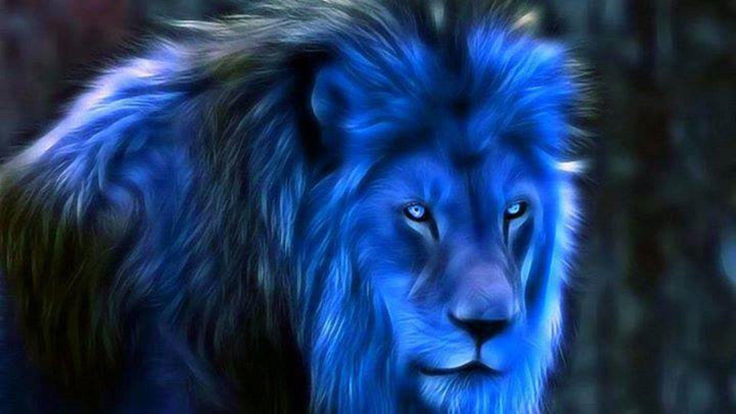Midnight Blue Fantasy #Blue #Lions #Wallpaper. Wallpaper