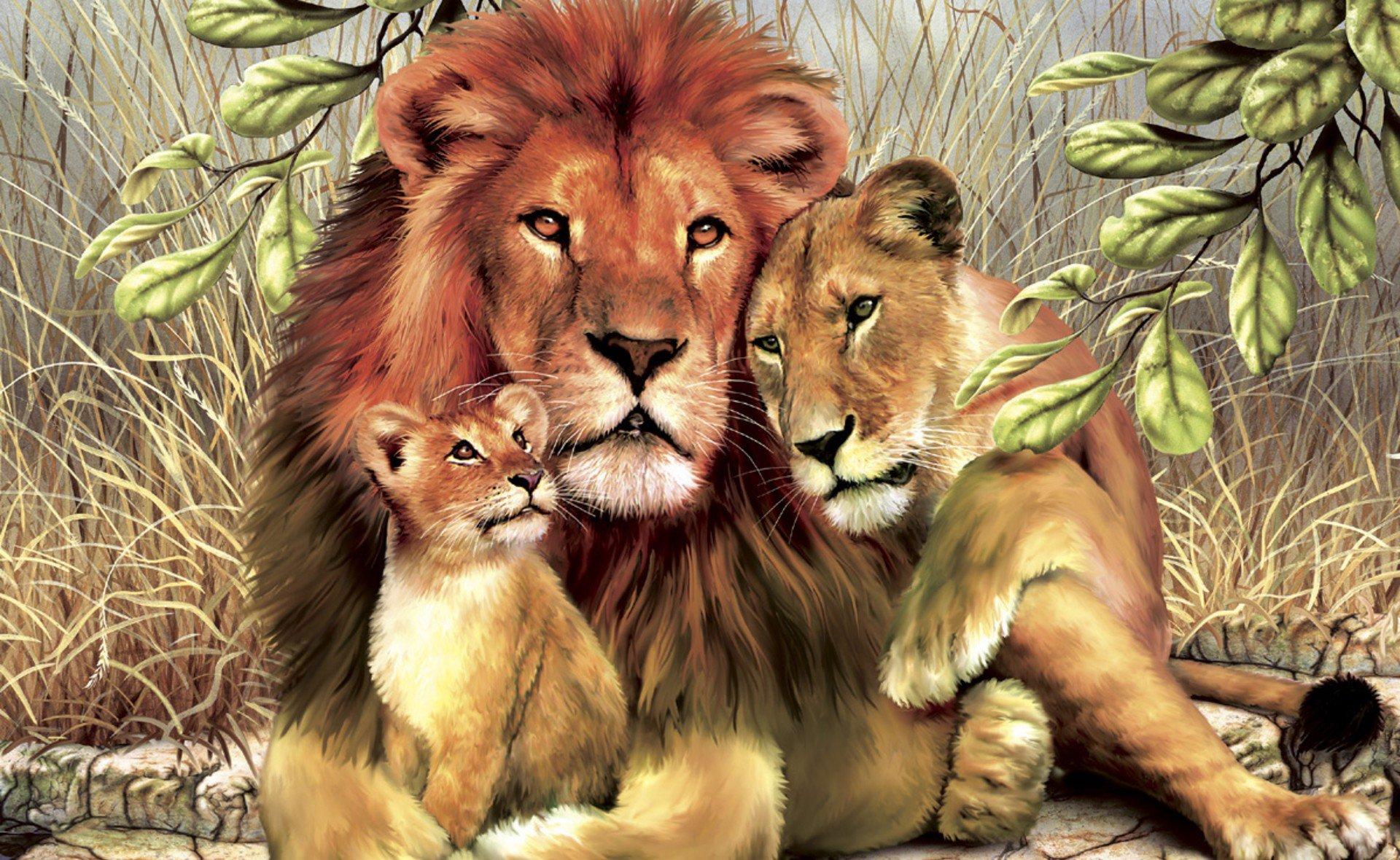 Lion Wallpaper, Background, Image, Picture. Design Trends PSD, Vector Downloads