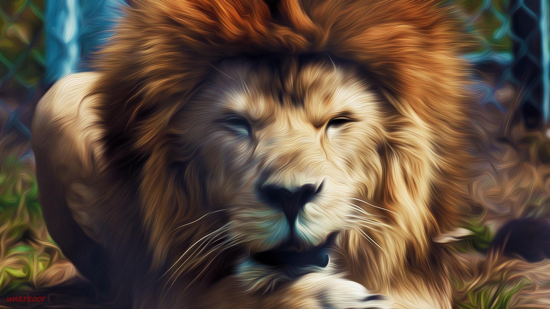 Lion Picture Wallpaper