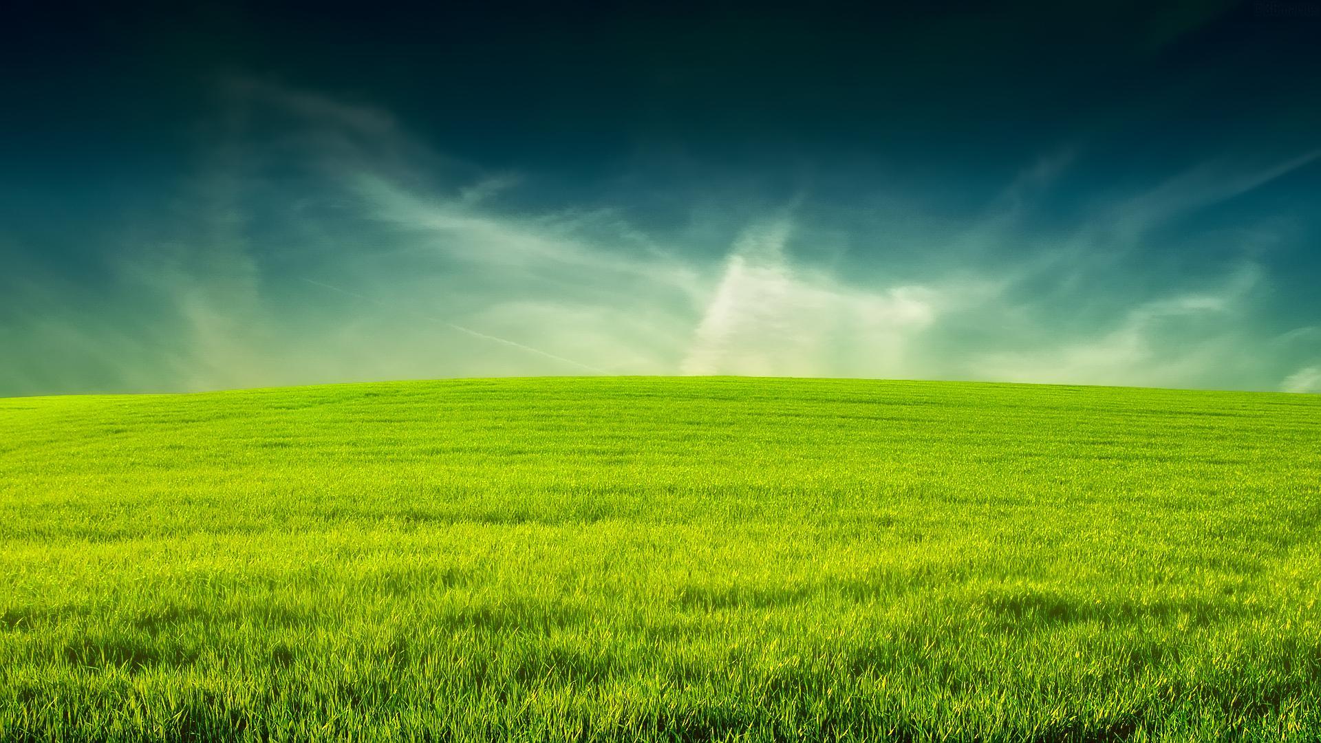 Grass Wallpapers Wallpaper Cave Grass Wallpapers Wallpaper Cave