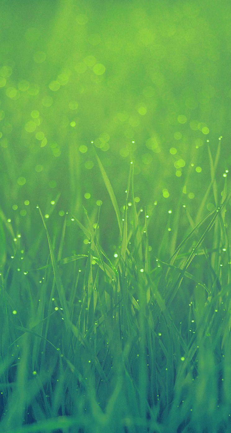 Grass Wallpaper iPhone