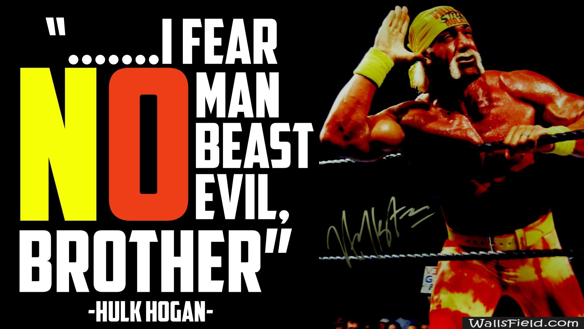 Hulk Hogan 4K.com. Free HD Wallpaper