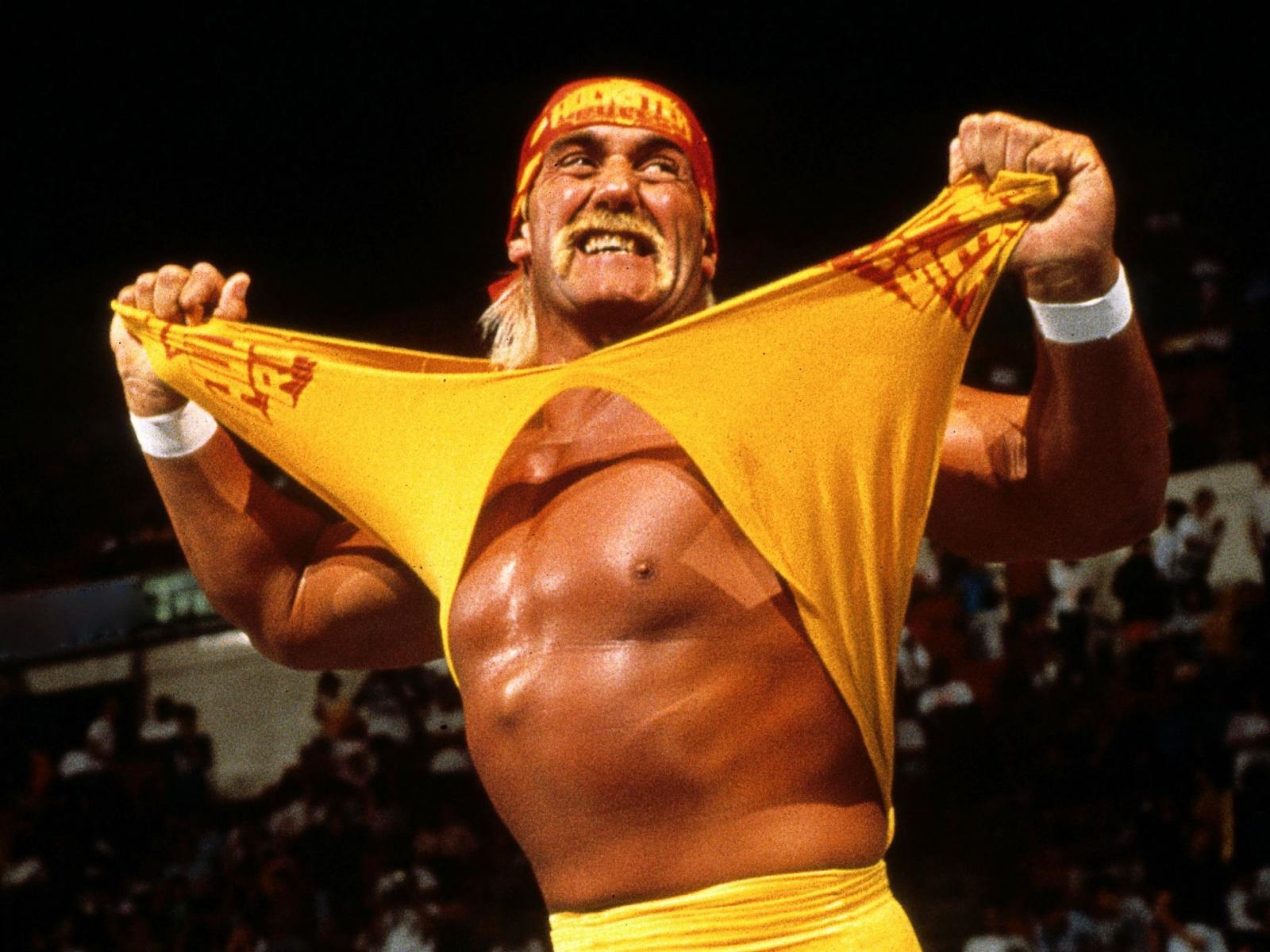 Hulk Hogan Wallpaper 6 X 1463