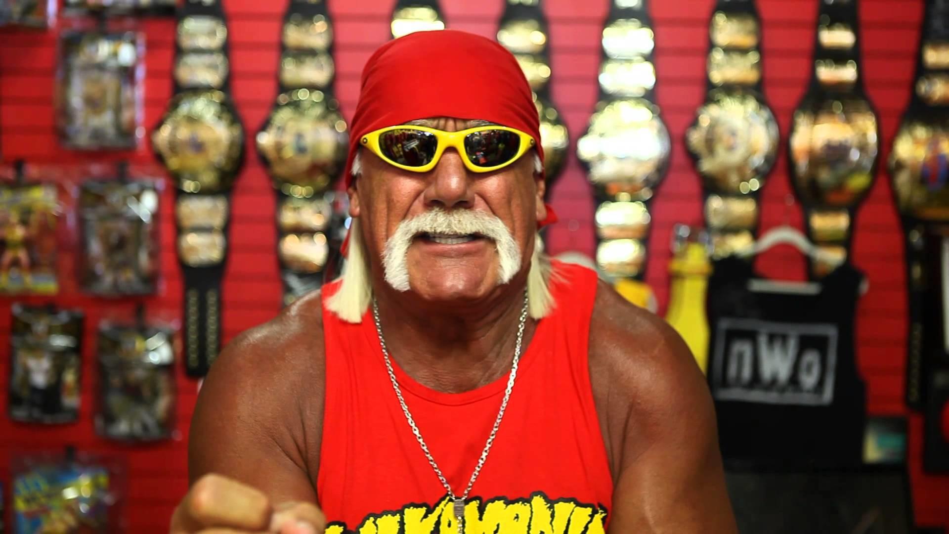 Hulk Hogan Wallpaper 1024x768