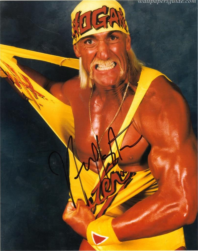 Hollywood Hulk Hogan Wallpaper