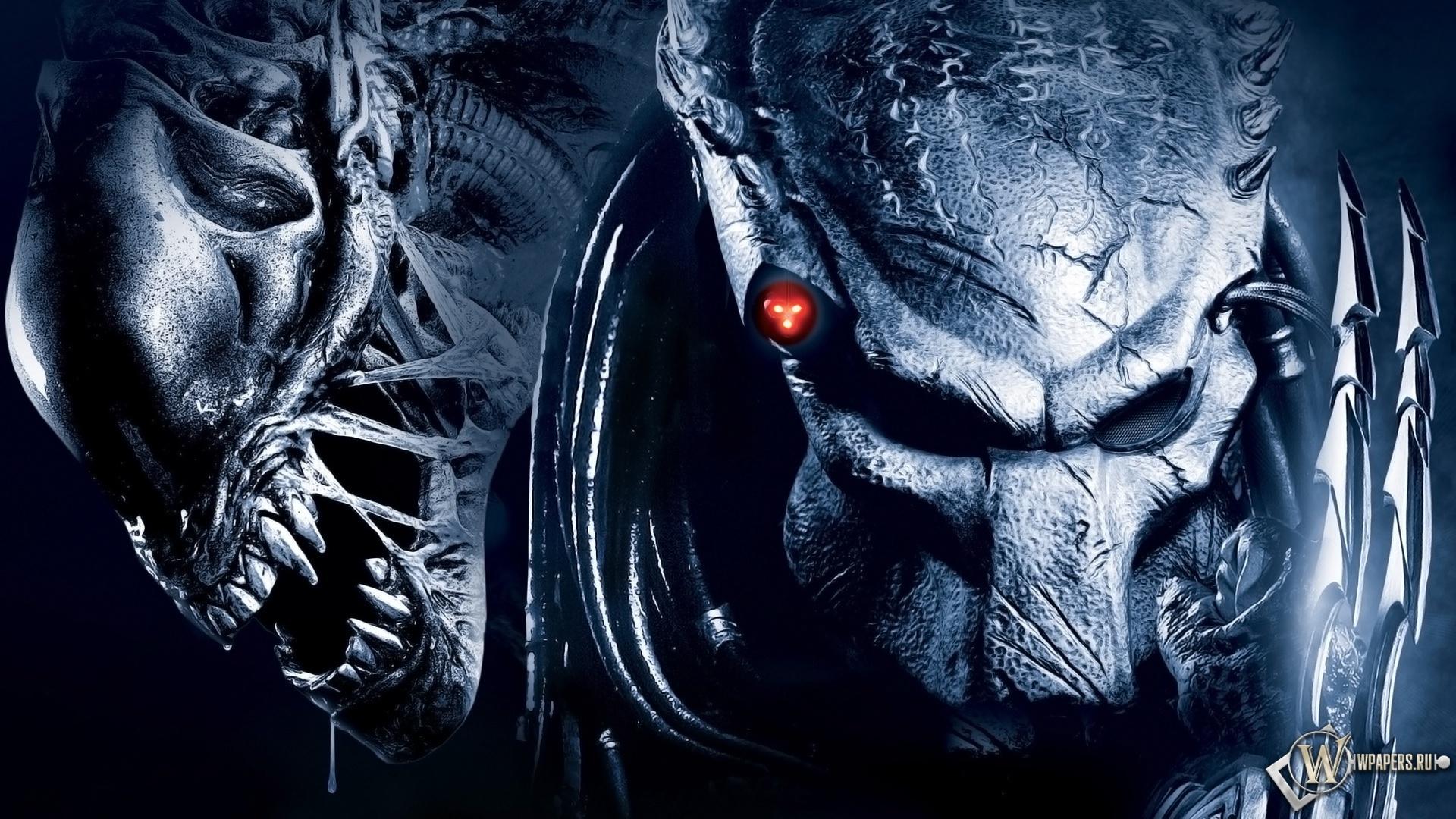 alien vs predator HD Wallpaper