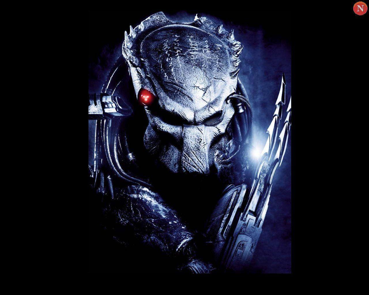 Wallpaper Blink of Aliens Vs. Predator: Requiem Wallpaper HD