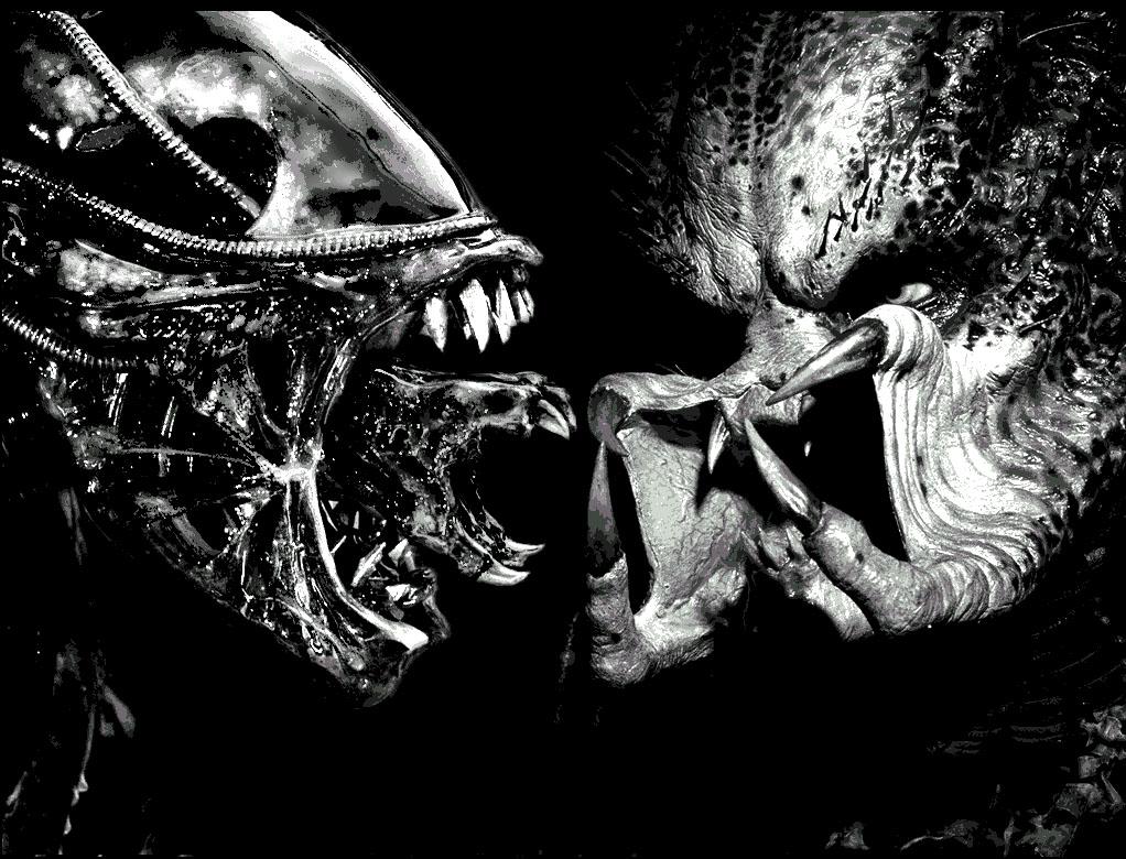 Top HD Alien Vs Predator Wallpaper. Games HD.36 KB
