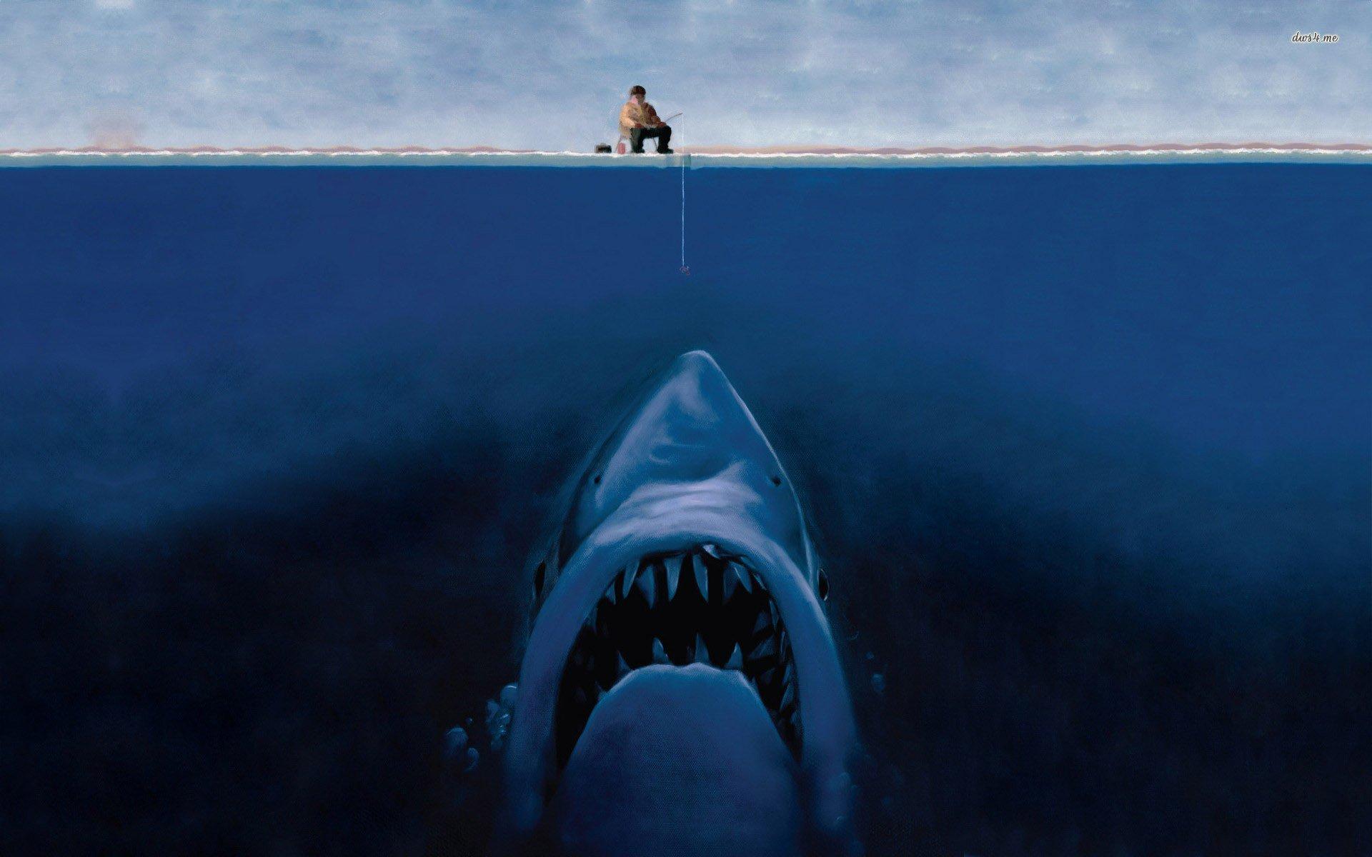 Shark Wallpaper, 34 Shark High Resolution Wallpaper's Collection