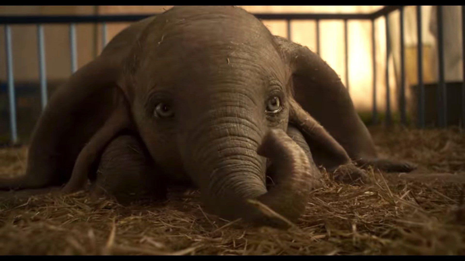 Dumbo 2019 movie reveals new trailer with heartbreaking storyline