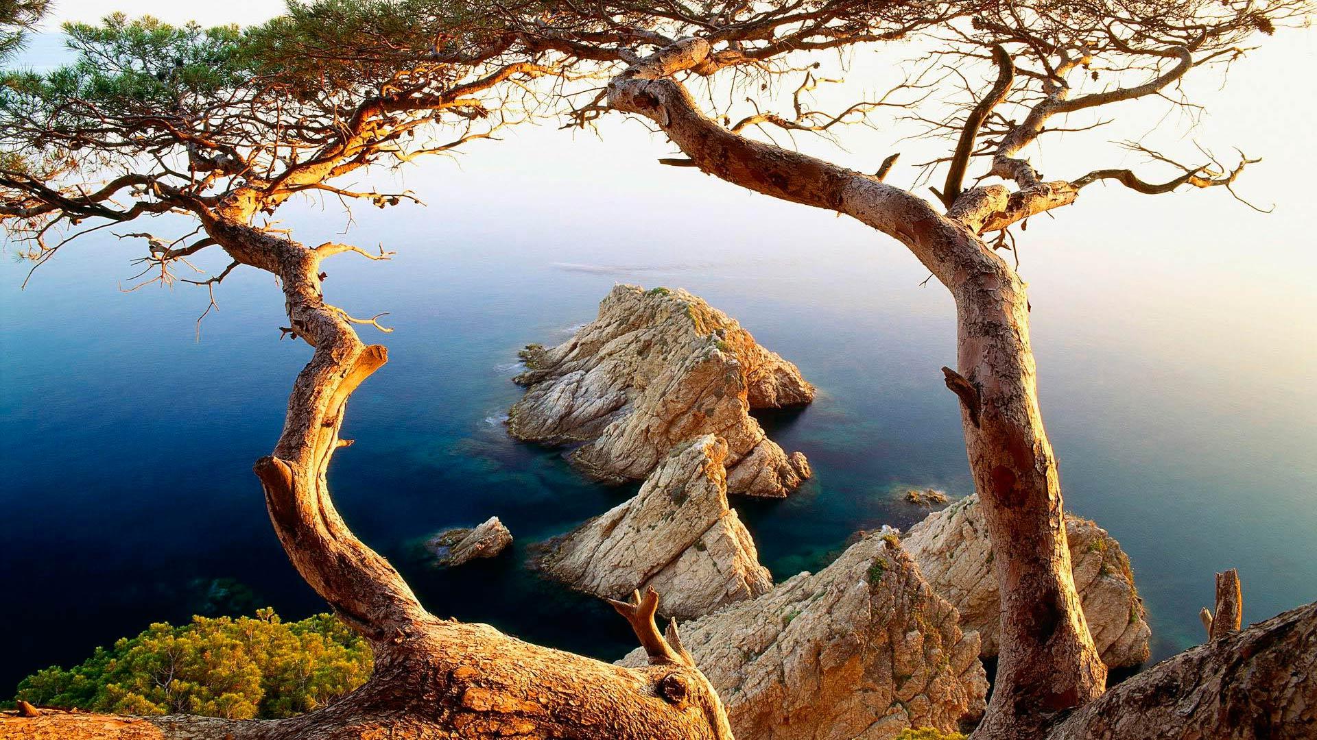 The coast of Tossa de Mar, Costa Brava. Spain wallpaper and image