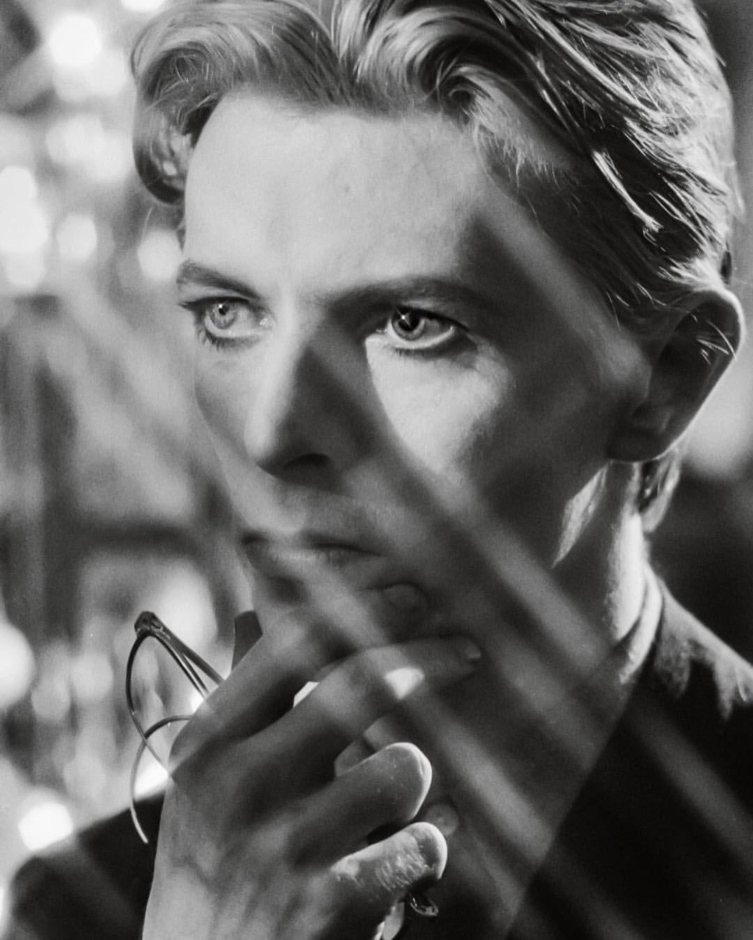 The Thin White Duke Wallpapers Wallpaper Cave
