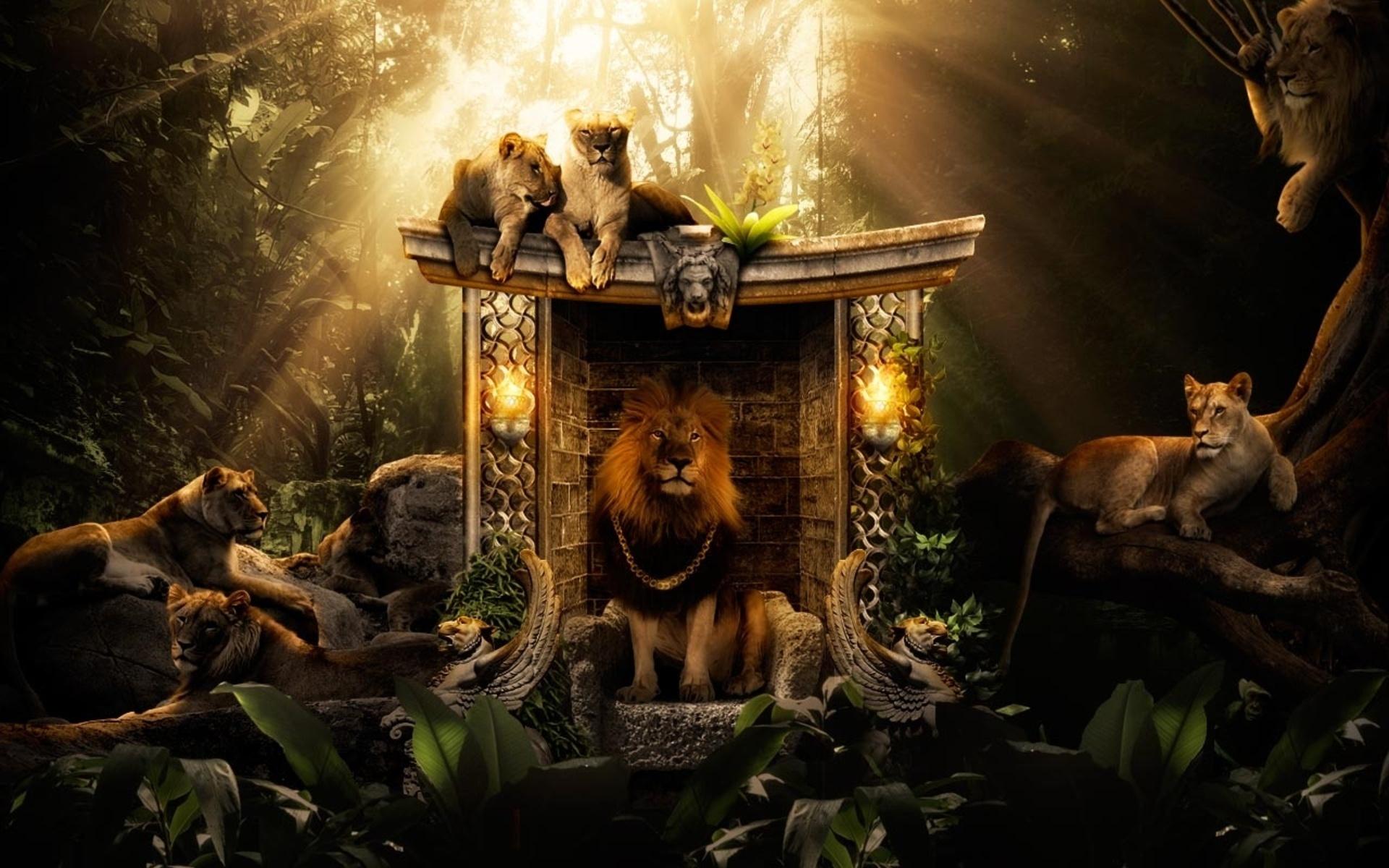 Lions Jungle Wallpaper in jpg format for free download