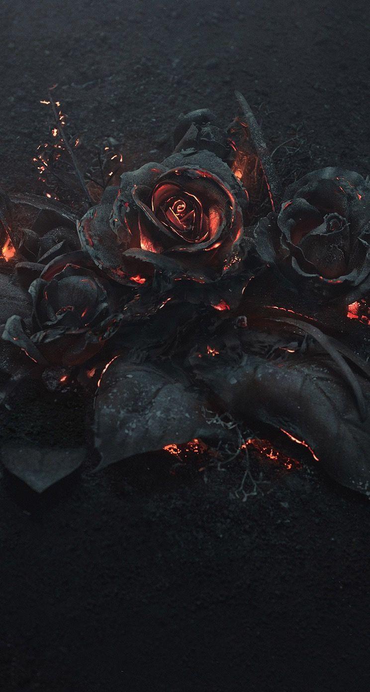 burnt #roses #ashes #glow #wallpaper. фото. Wallpaper, Wallpaper