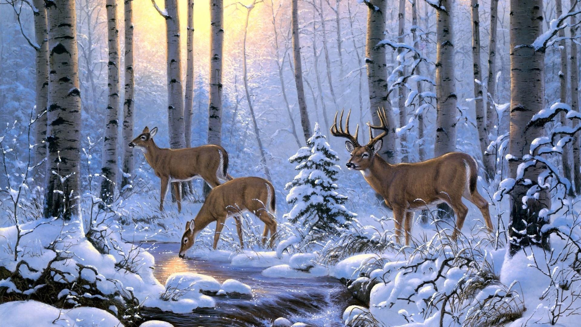 Deer Wallpaper. Wallpaper Studio 10. Tens of thousands HD