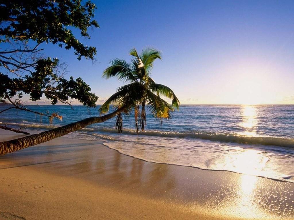 Tropical Paradise Wallpaper Download Free Silhouette Island