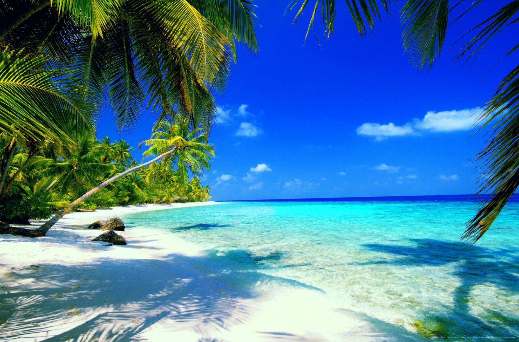Tropical Beach Sunset Desktop Wallpaper