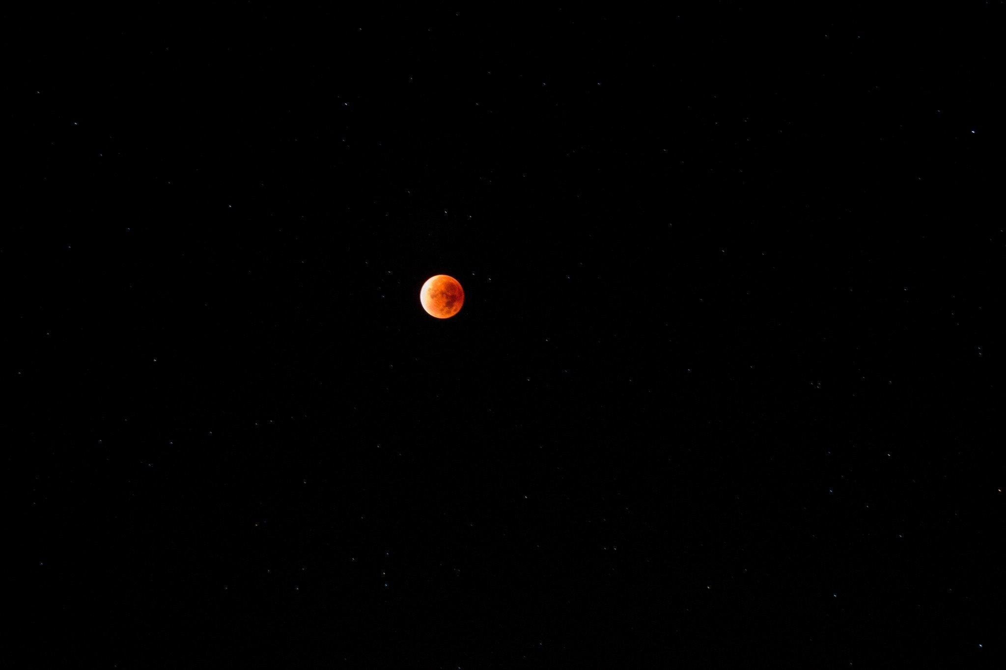 moon night red moon wallpaper and background