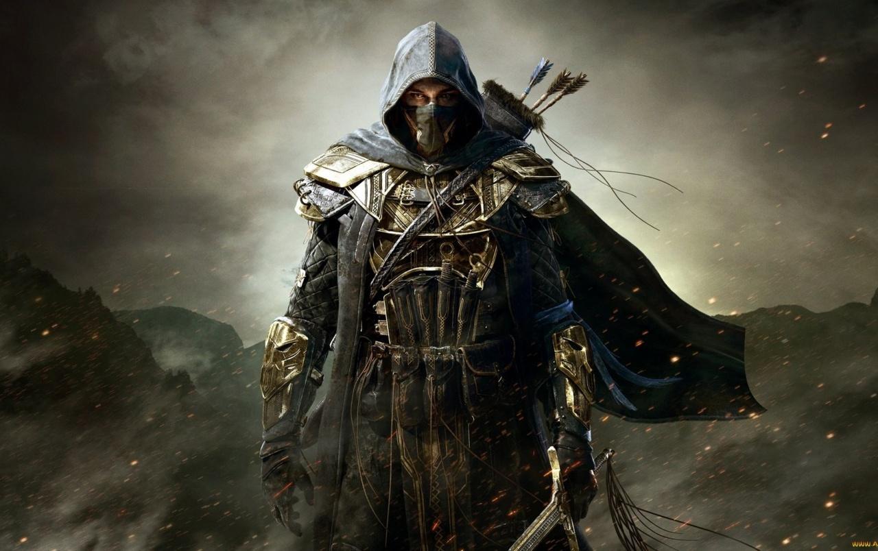 The Elder Scrolls Online Warrior wallpaper. The Elder Scrolls