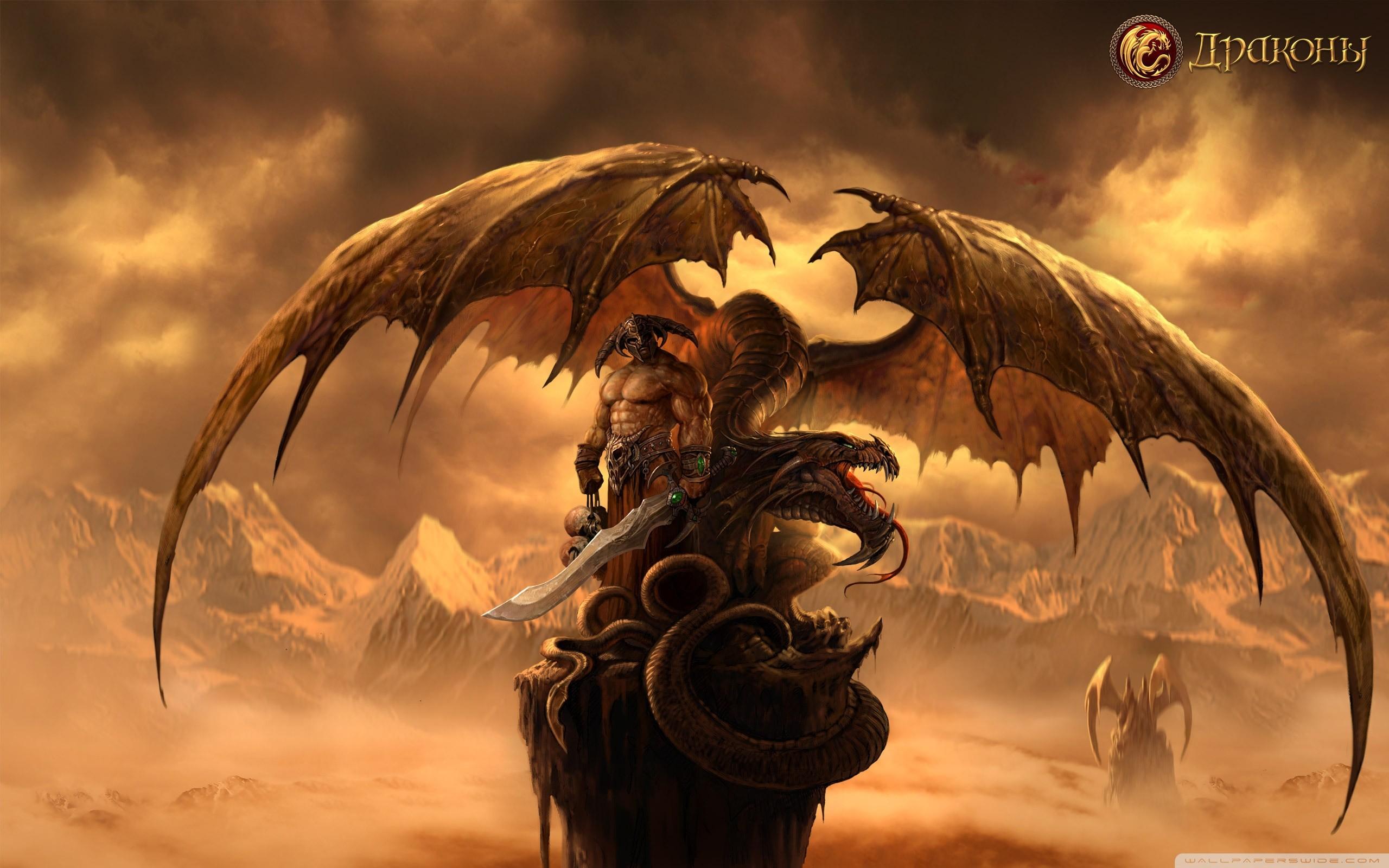 Dragon Warrior Wallpaper background picture