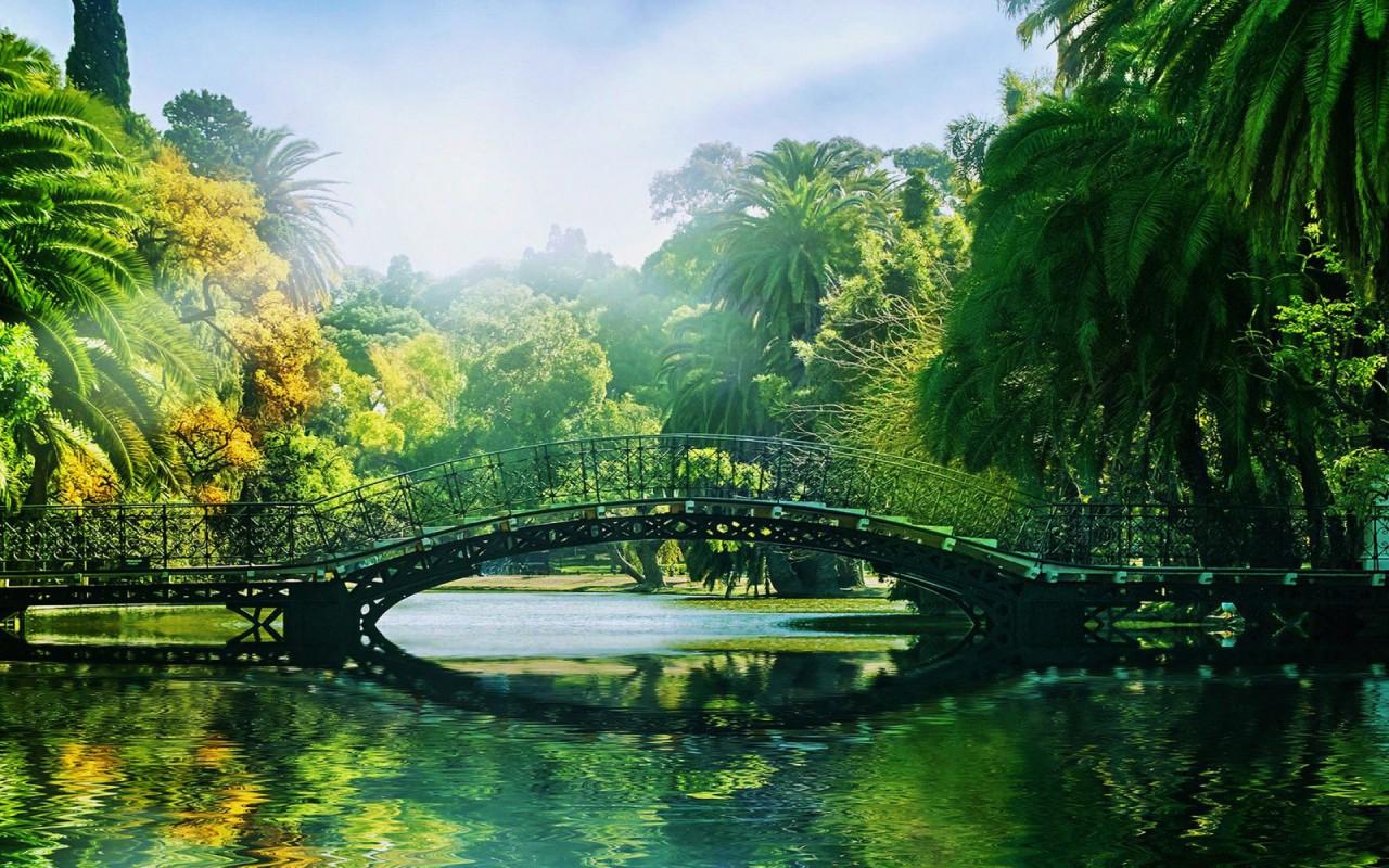 Tropical Park Sunny Day wallpaper. Tropical Park Sunny Day stock