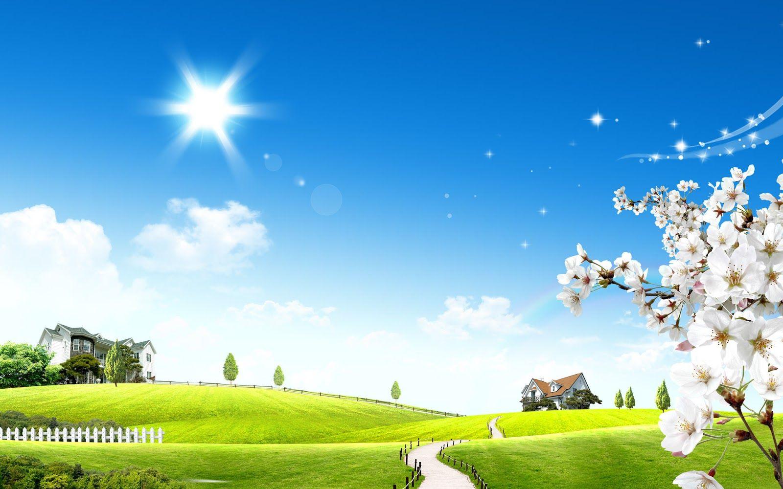 3D Meadow with a Lovely Sunny Day. HD Wallpaper. Beautiful