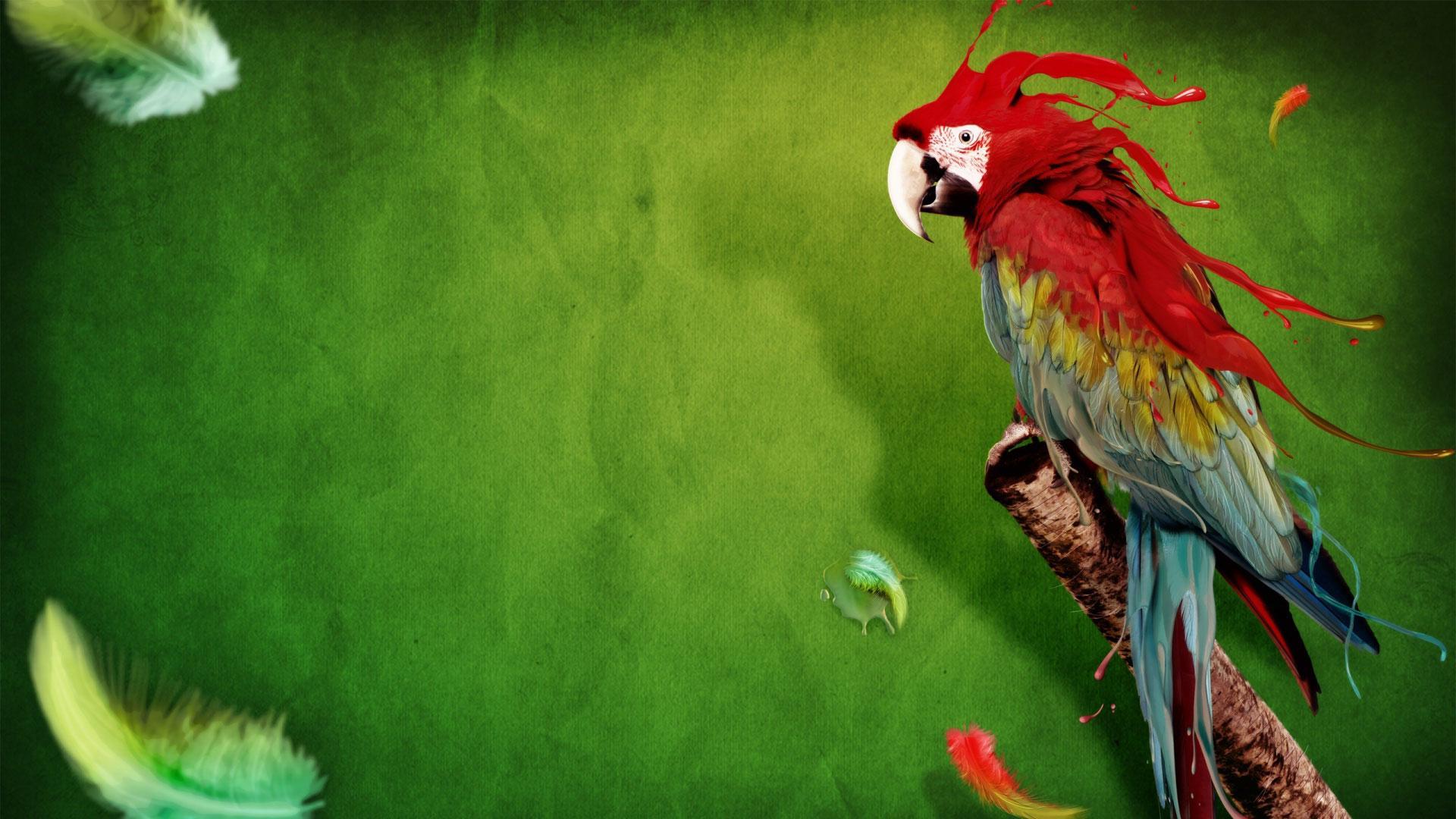 Parrot Wallpaper 3 X 1080