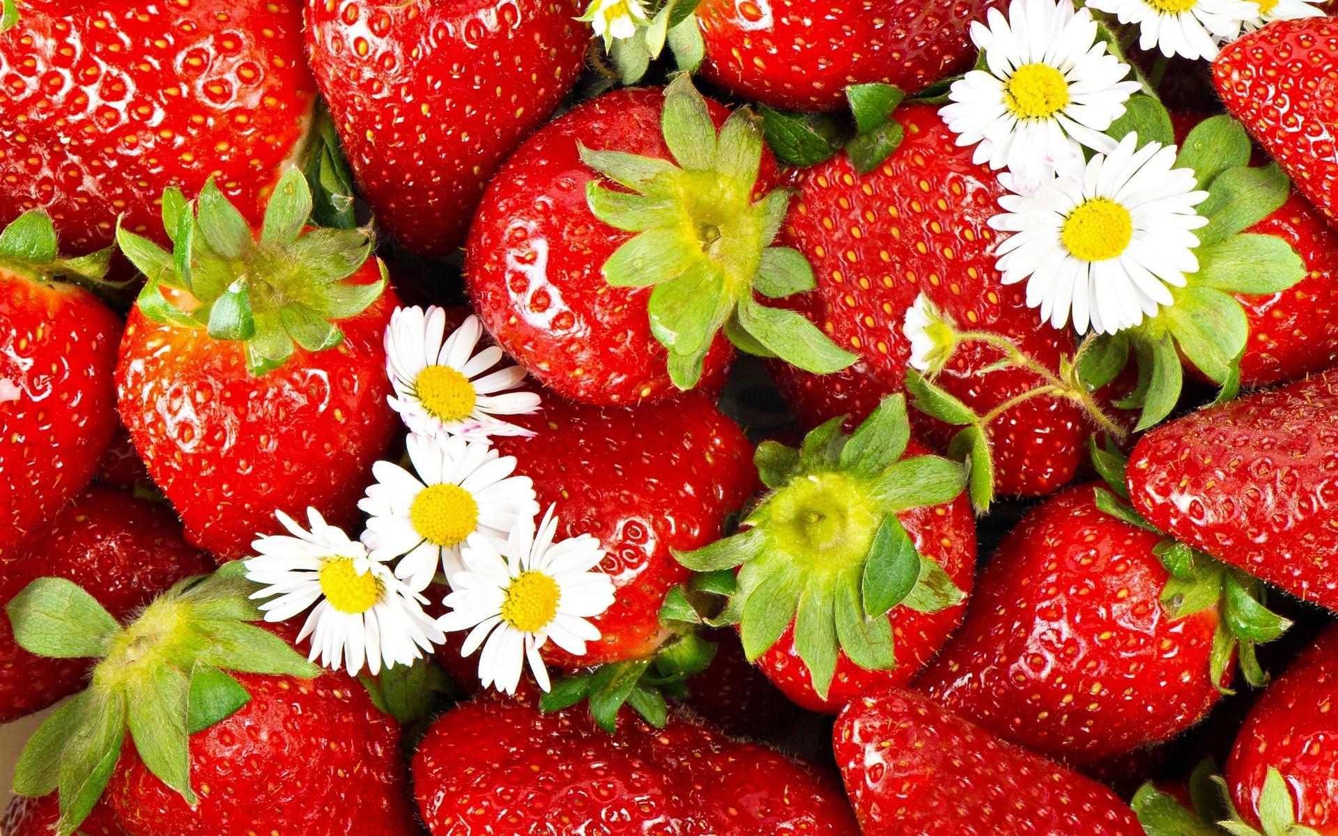 Strawberry Wallpaper 13 X 1200