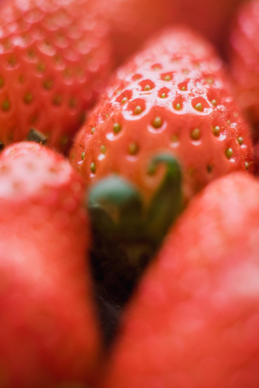 Strawberry Picture. Download Free Image