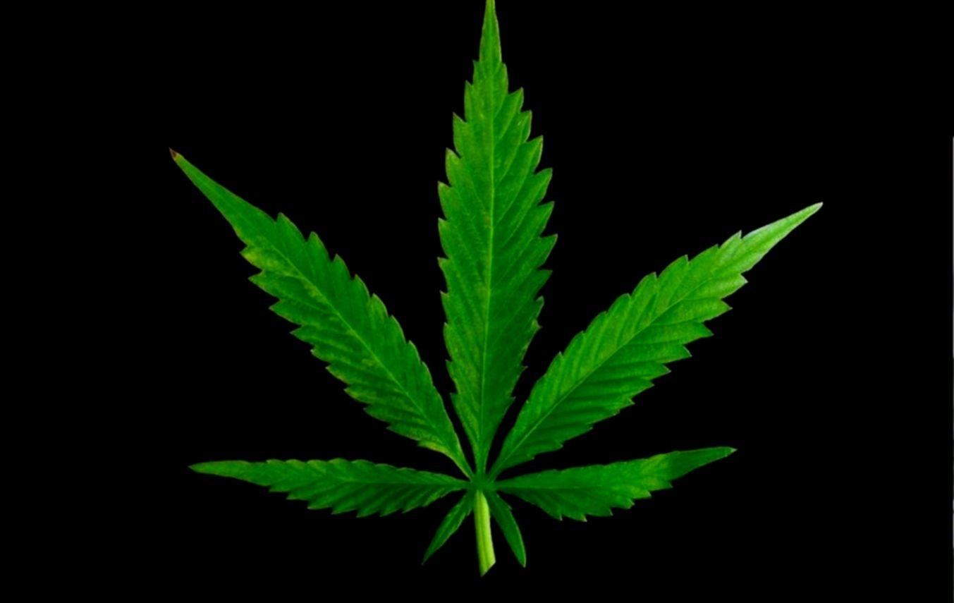 3D Wallpaper Weed Leaf Wallpaper HD