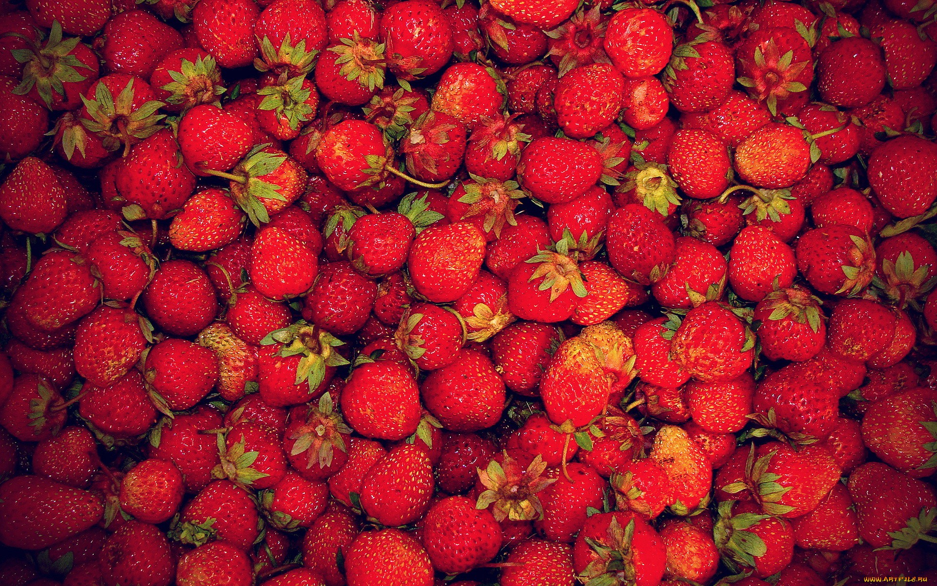 Strawberry Wallpaper, Adorable HDQ Background of Strawberry, 33