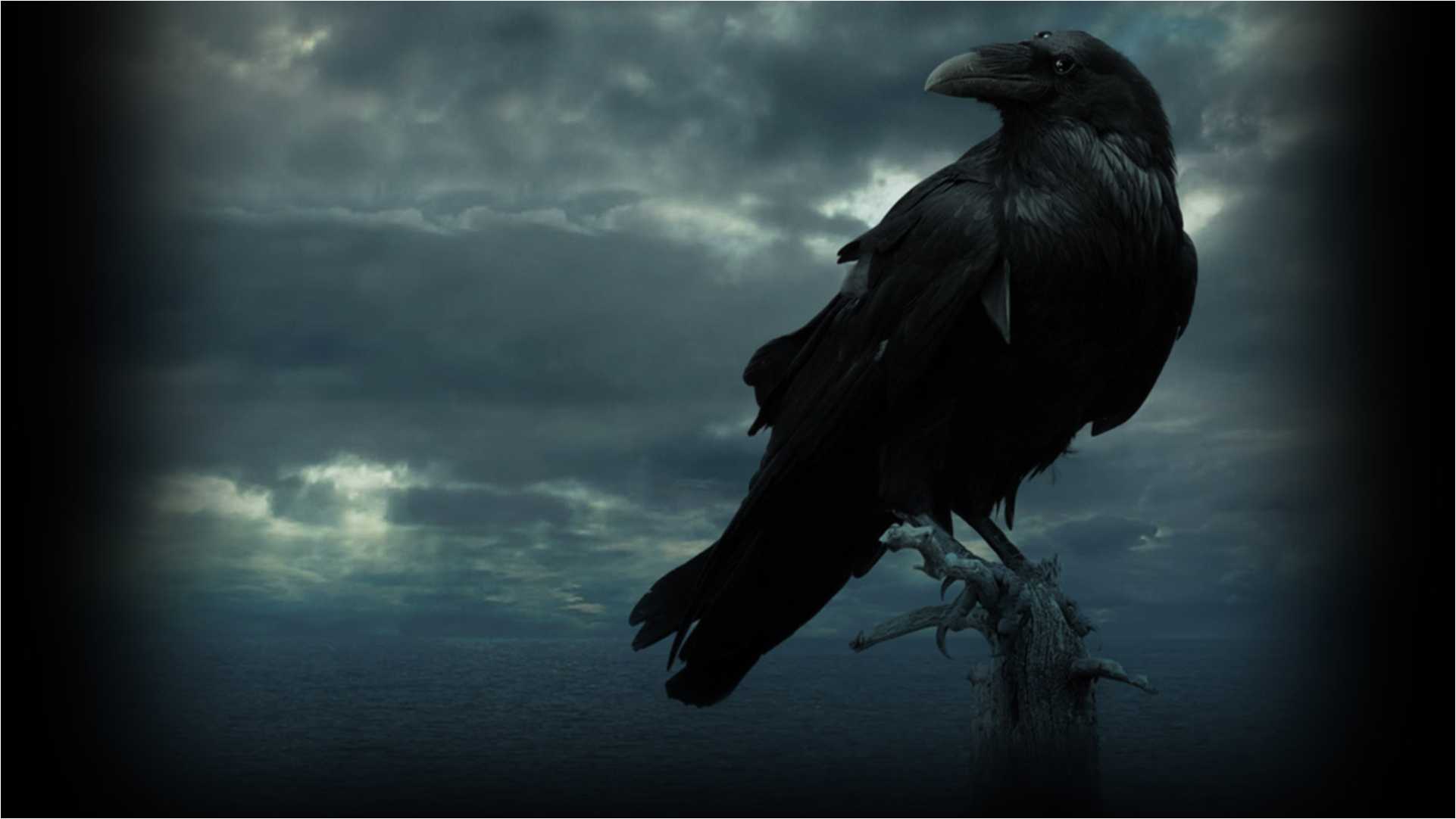 The Raven Wallpapers  Wallpaper Cave