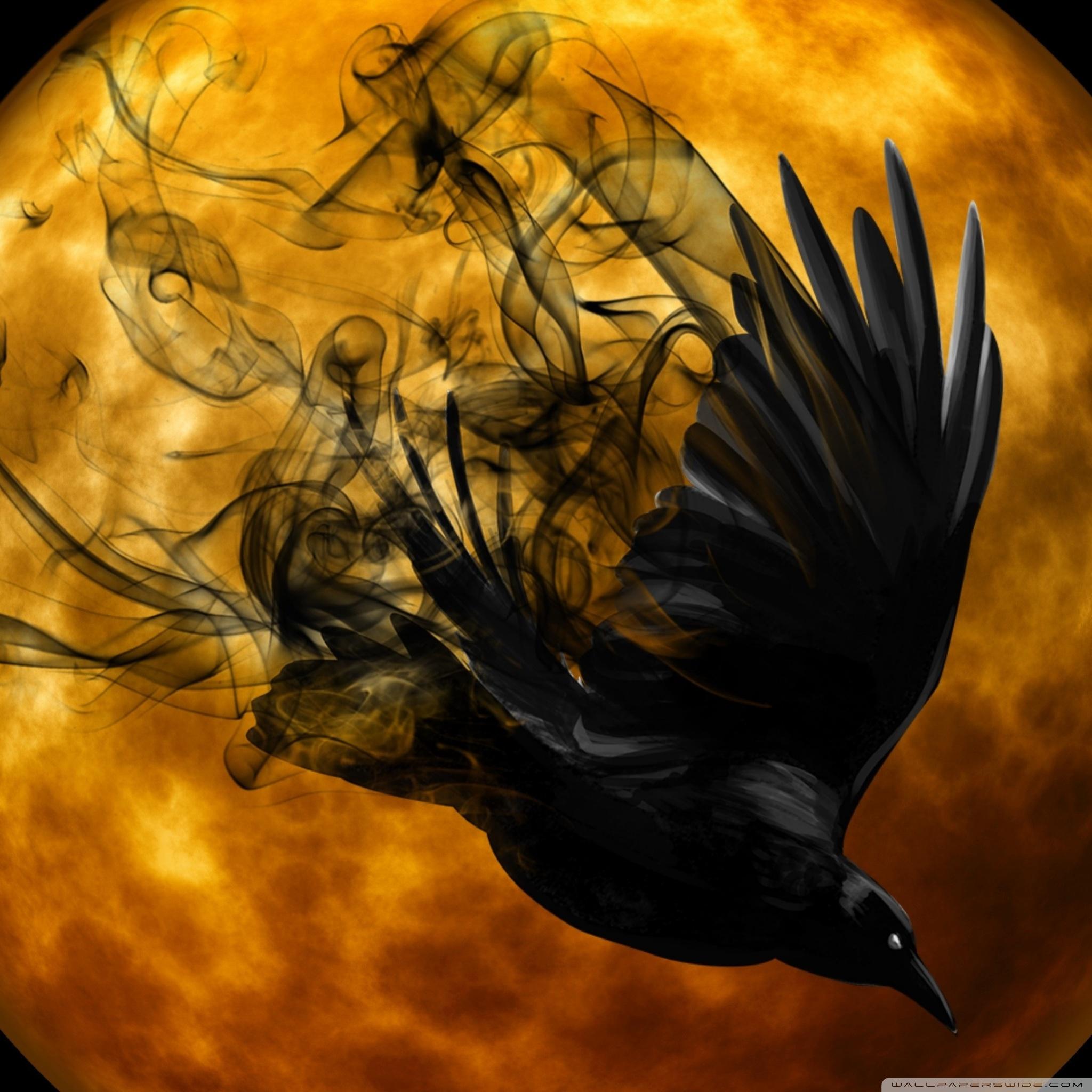 Group of Raven Wallpaper And Google