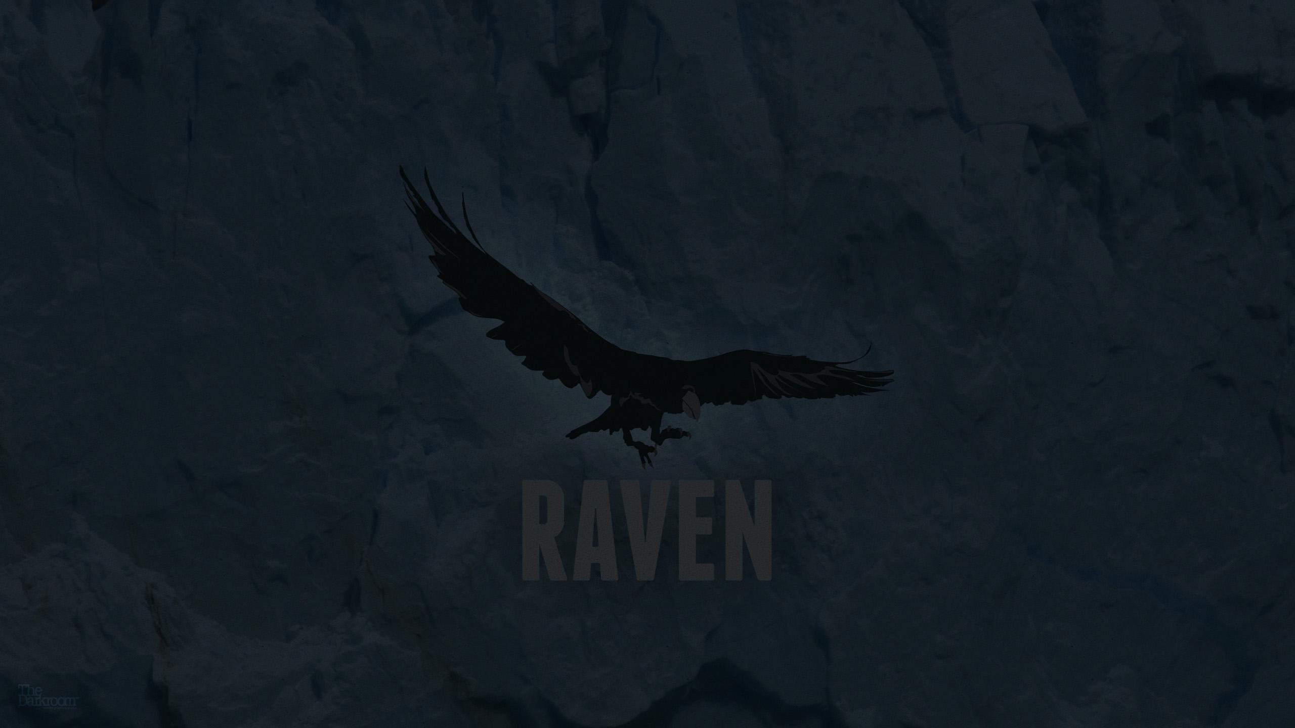 Raven Wallpaper HD