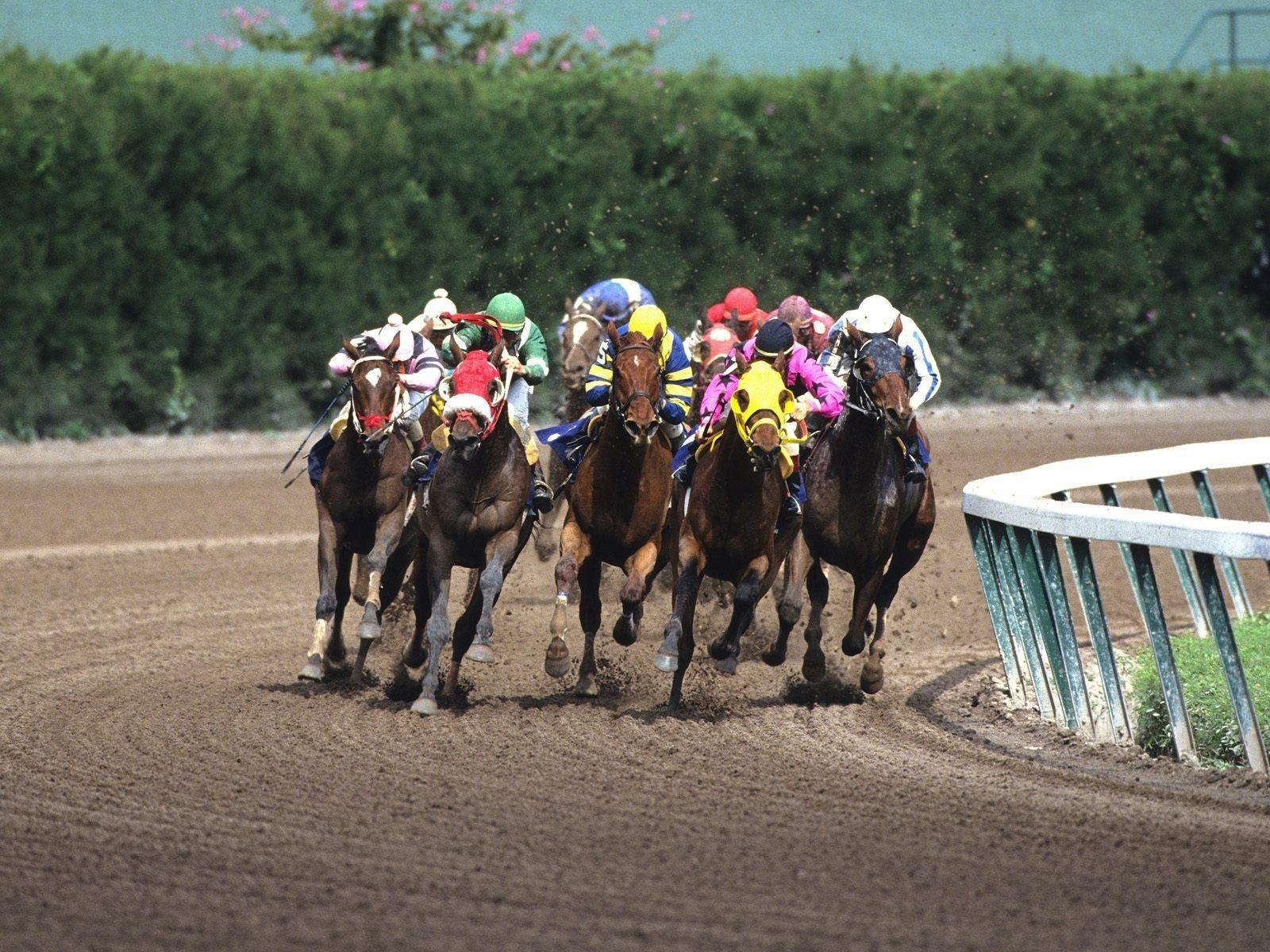 Horse Racing Wallpaper and Background Imagex1200