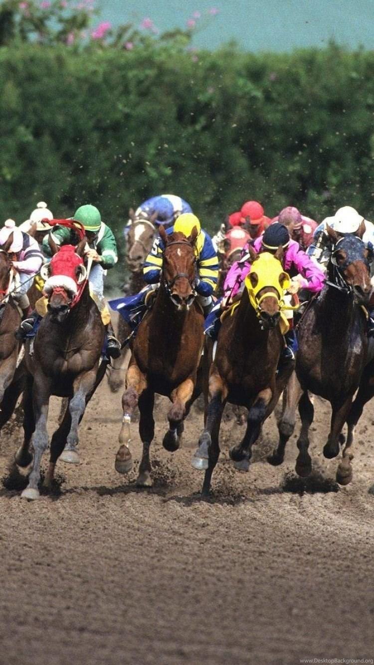 IPhone 6 Sports Horse Racing Wallpaper Desktop Background