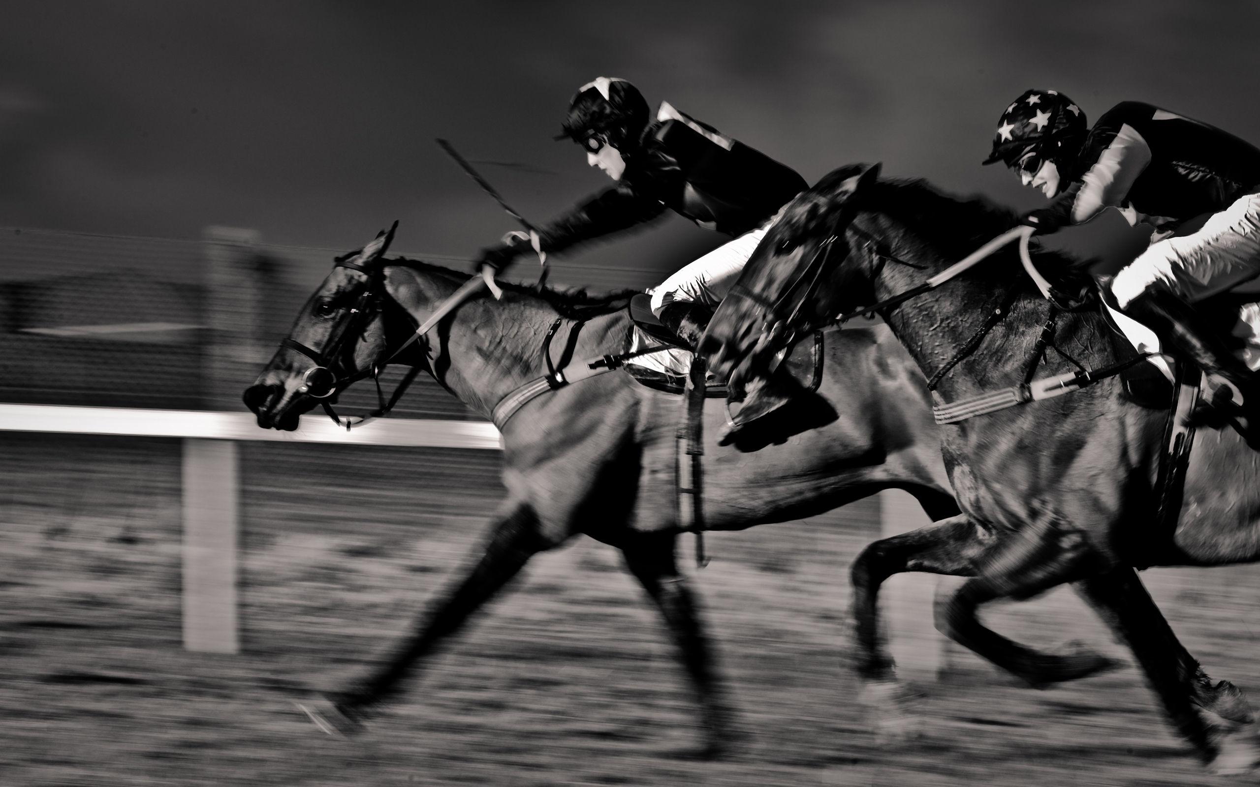 Horse Racing Wallpaper background picture