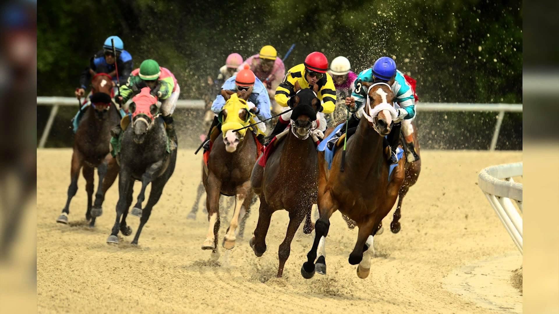 Wallpaper for Desktop: horse racing image