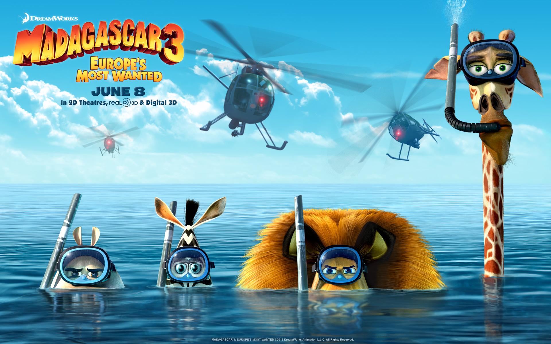 Madagascar 3 2012 Movie Wallpaper for Android