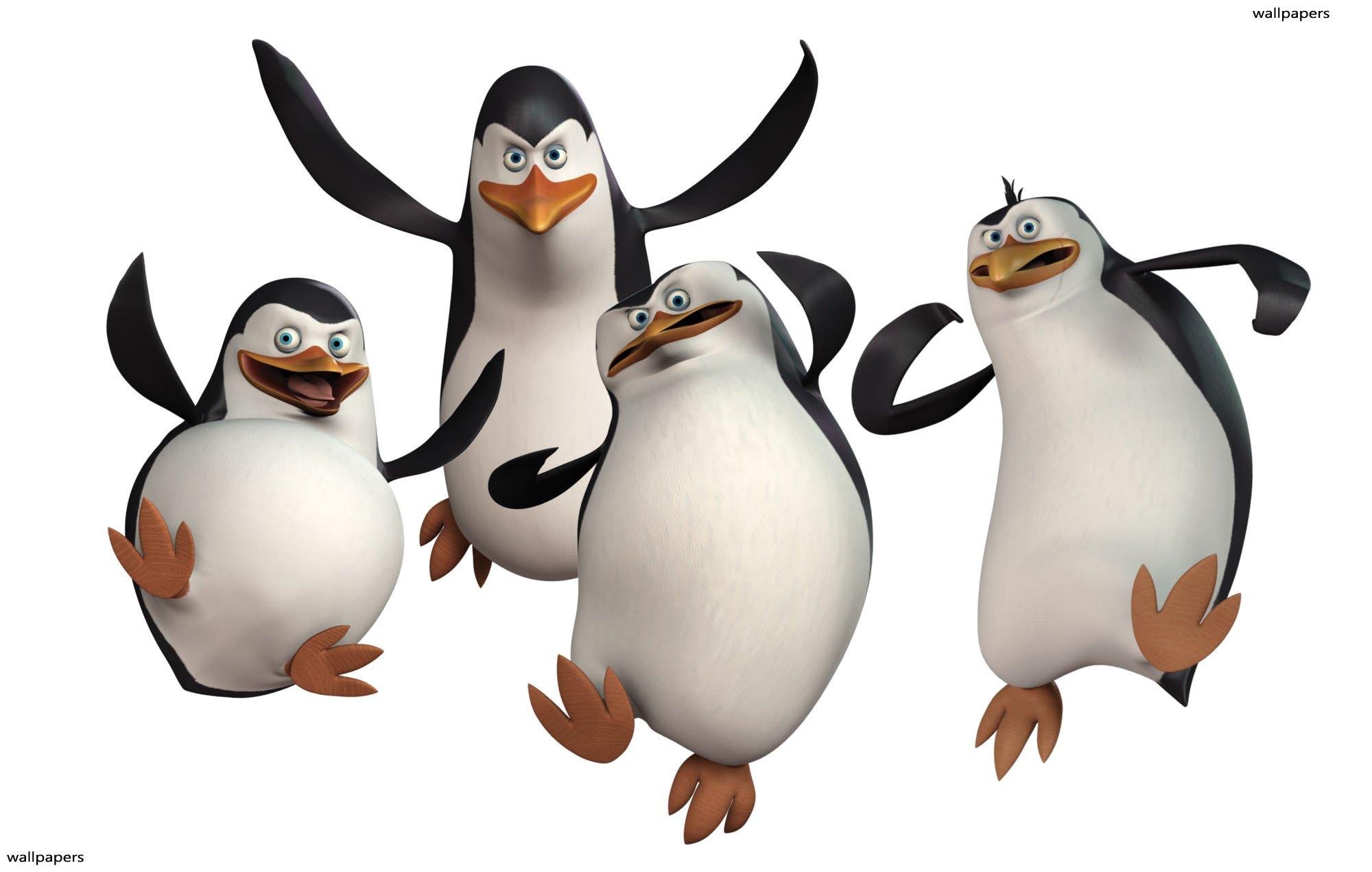 Dancing penguins HD Wallpaper