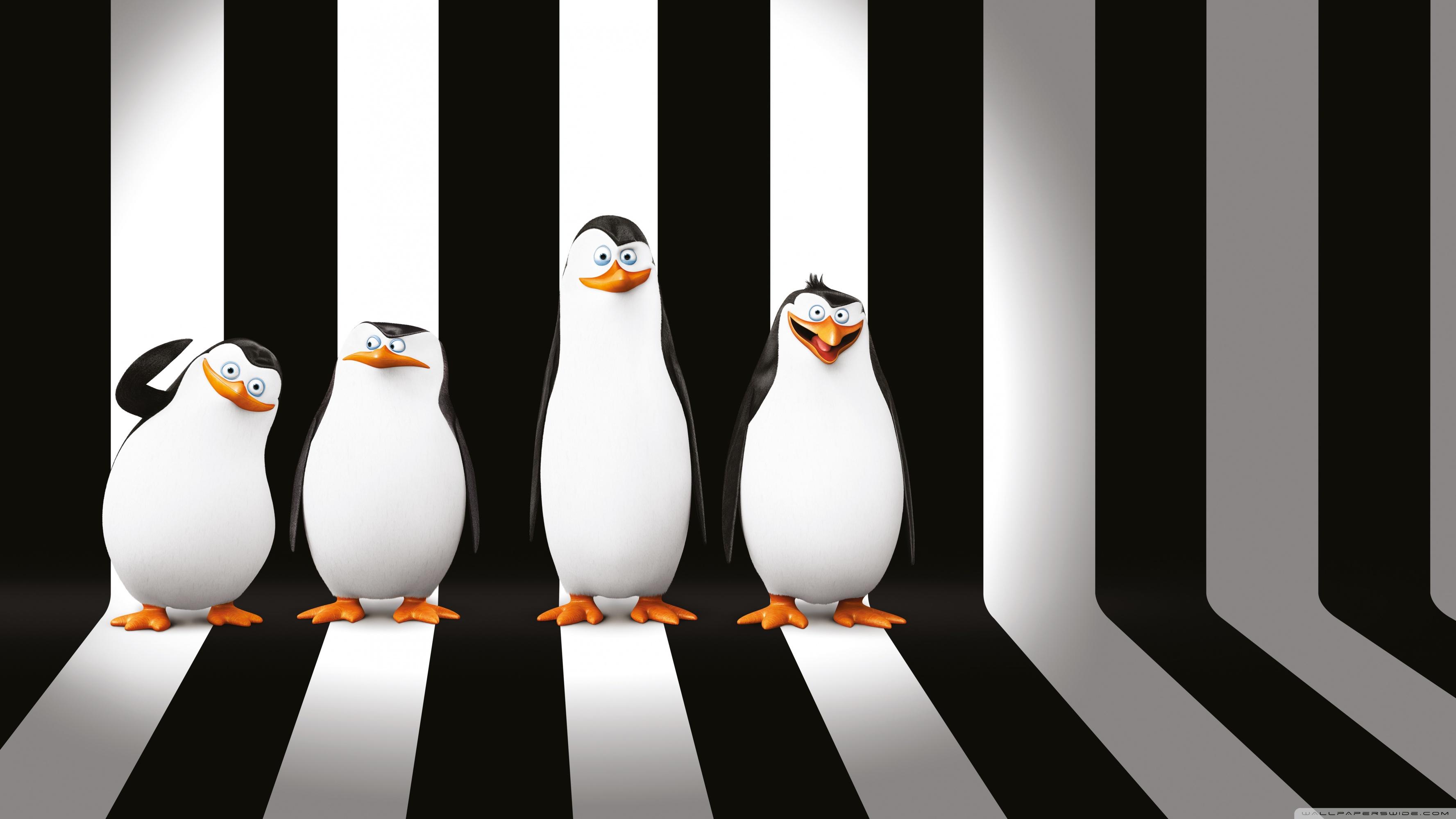 Wallpaper Blink of Penguins of Madagascar Wallpaper HD