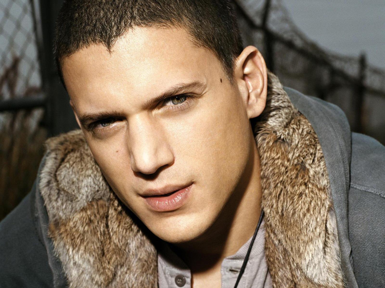 Wallpaper Wentworth Miller Celebrities