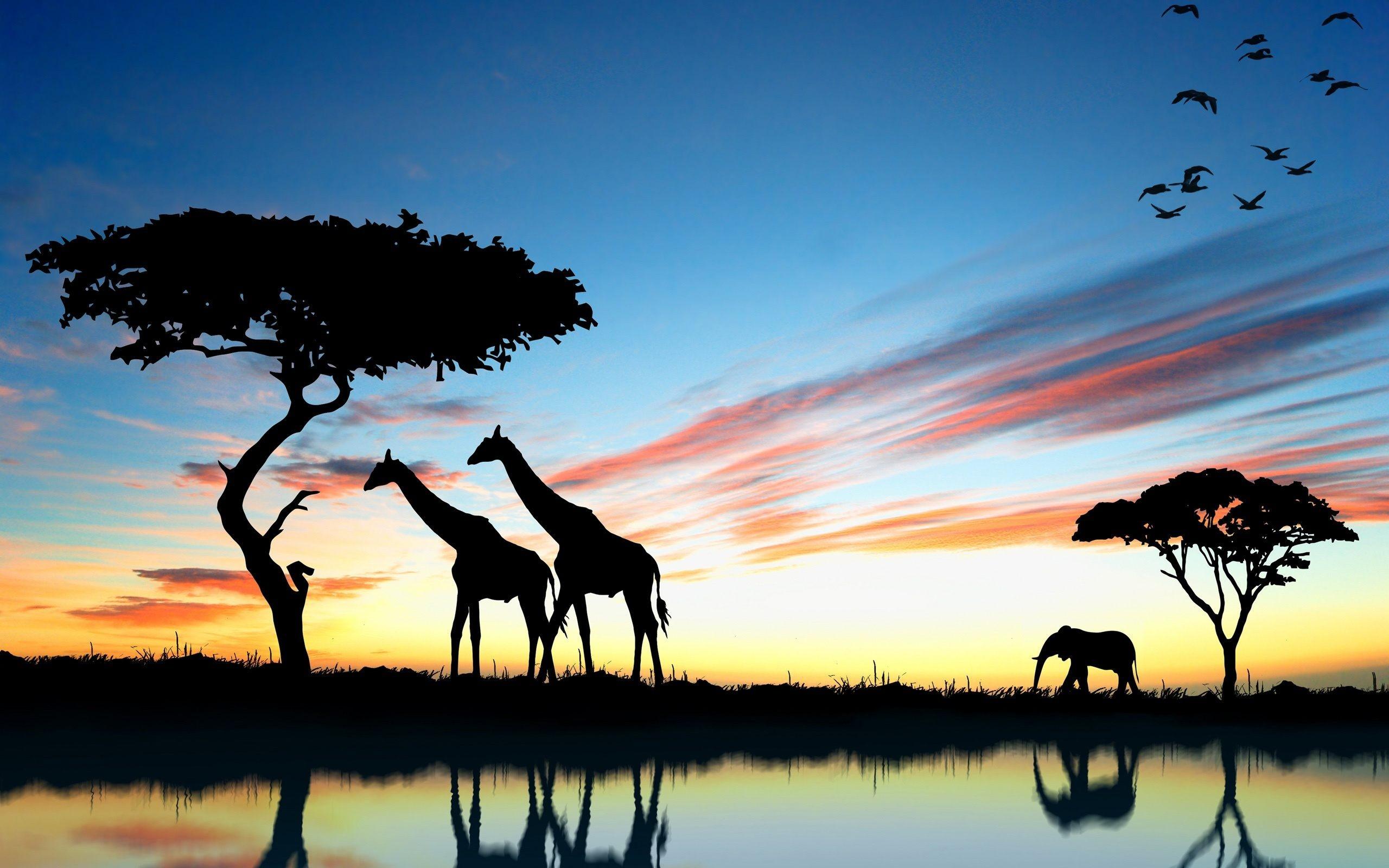 safari background image mac download