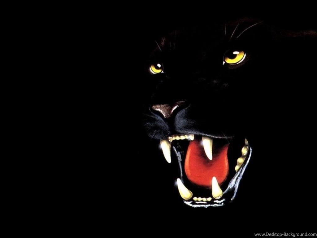 Black Panther Wallpaper Desktop Background
