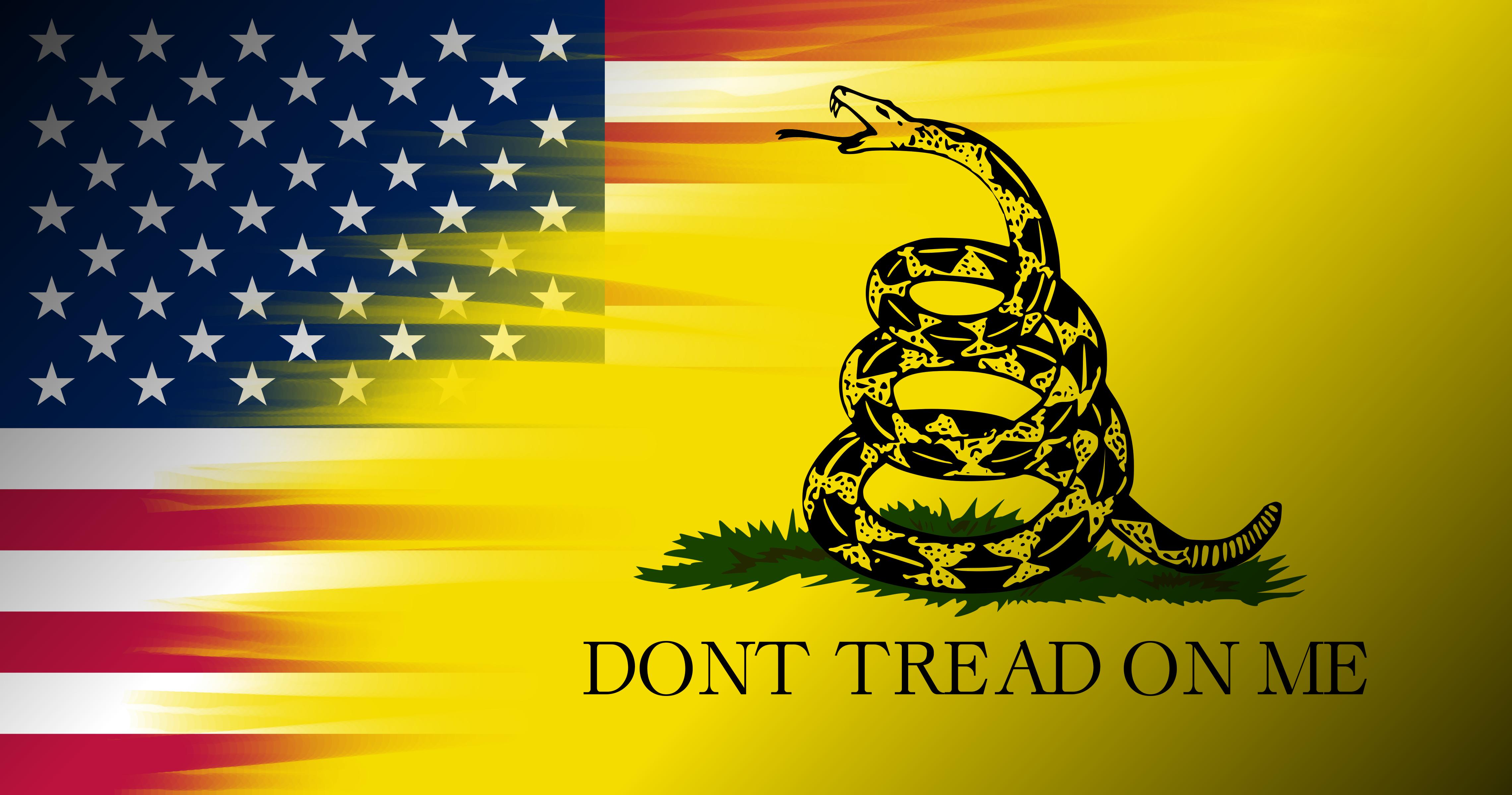The REAL Gadsden Flag Dont Tread On Me Flag HD phone wallpaper  Pxfuel