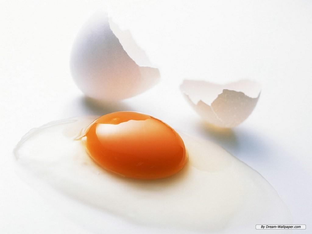 Egg Wallpaper HD Background, Image, Pics, Photo Free Download