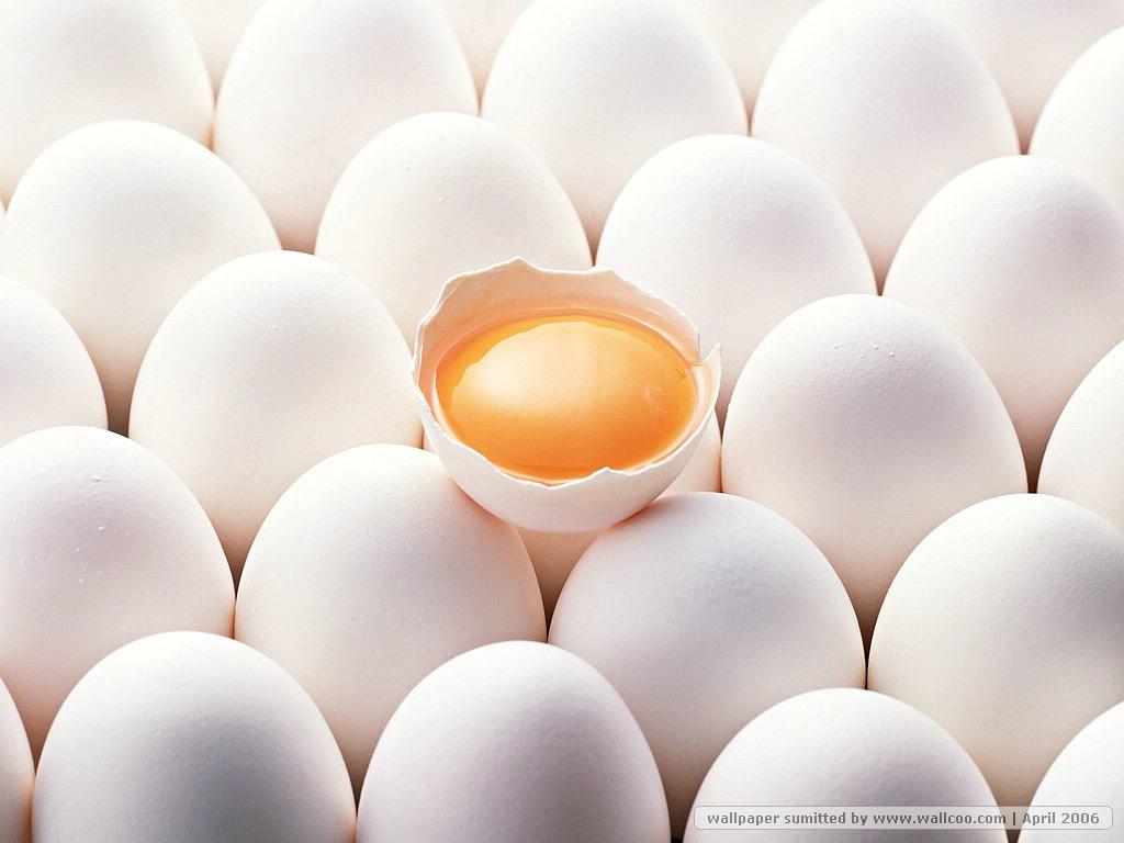 Egg Wallpaper 5 X 768