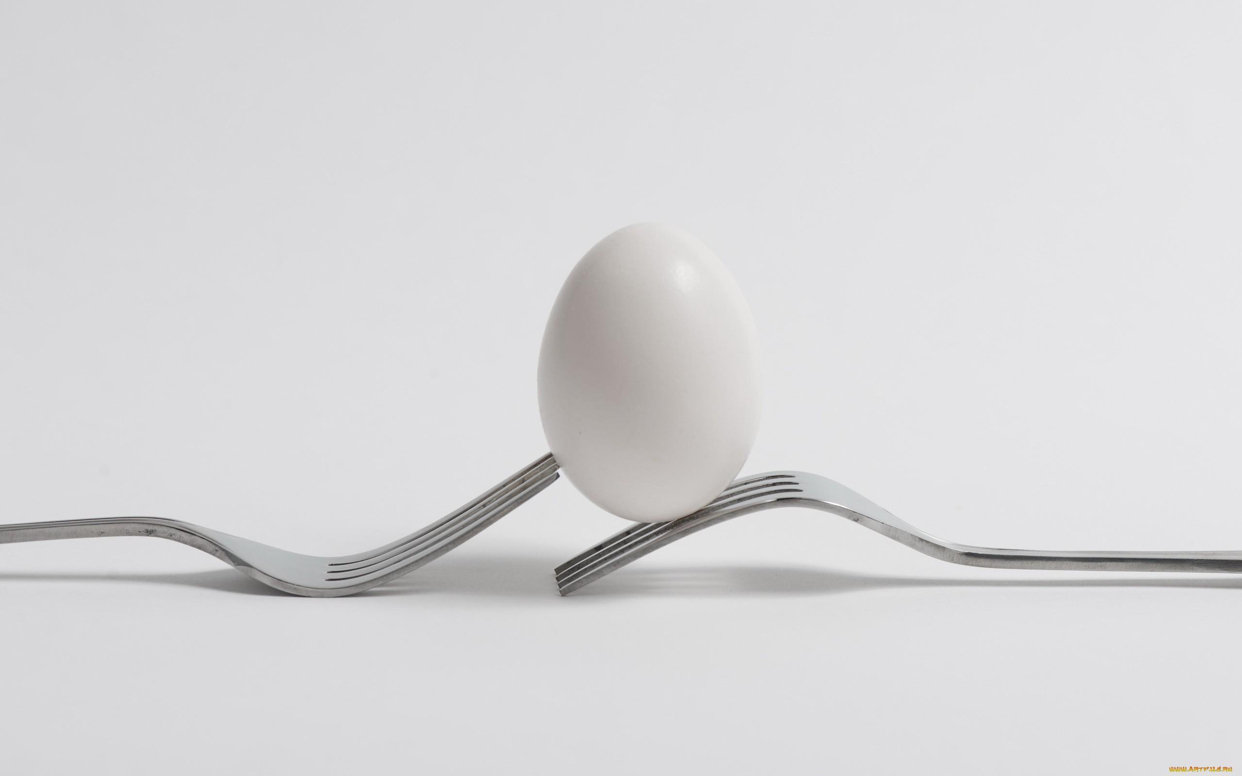 Egg HD Wallpaper